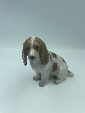 Royal Copenhagen Cocker Spaniel