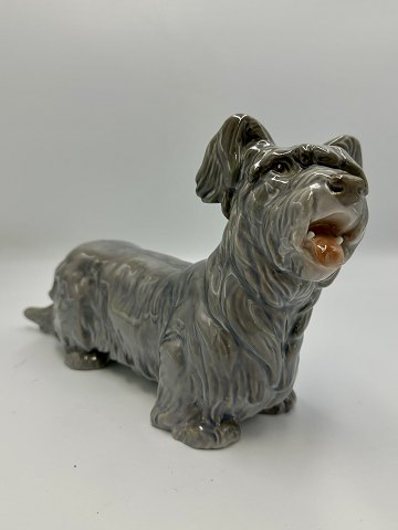 Bing og Grøndahl Figur - grå Skye Terrier