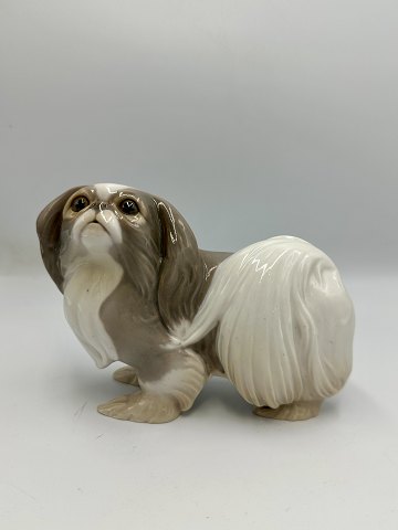 Bing og Grøndahl Figur - Pekingeser Hund