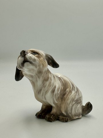 Dahl Jensen Figur - Maltheser