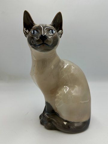 Royal Copenhagen Figur - Siameser Kat