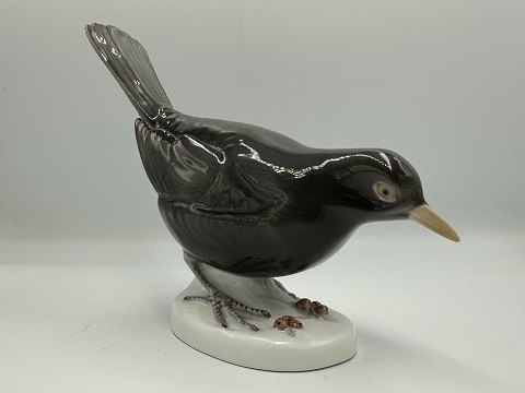 Bing og Grøndahl Figur - Solsort med bær ved fødderne / Fugl