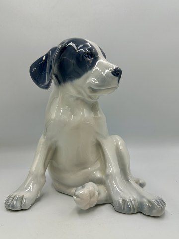 Royal Copenhagen Stor Figur - Pointer Hvalpe