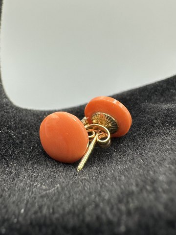 14 Karat Guld Ørestikker