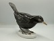 Bing og Grøndahl Figur - Solsort med bær ved fødderne / Fugl